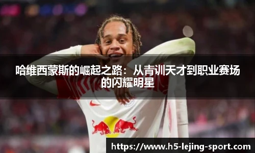 乐竞体育官网